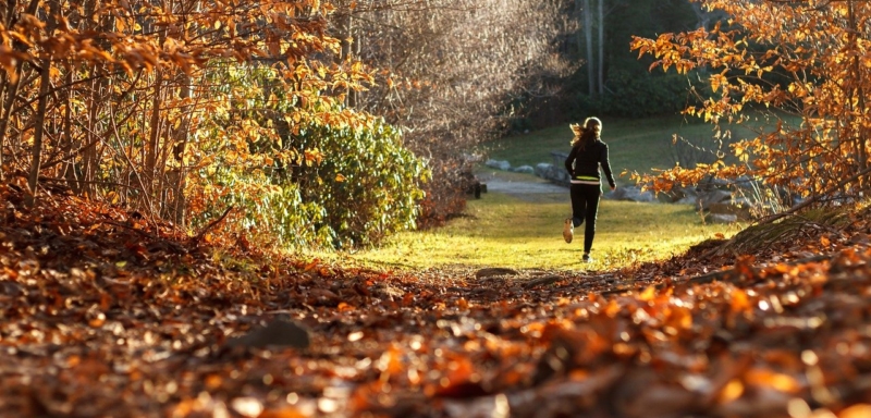 Jak běhat na podzim